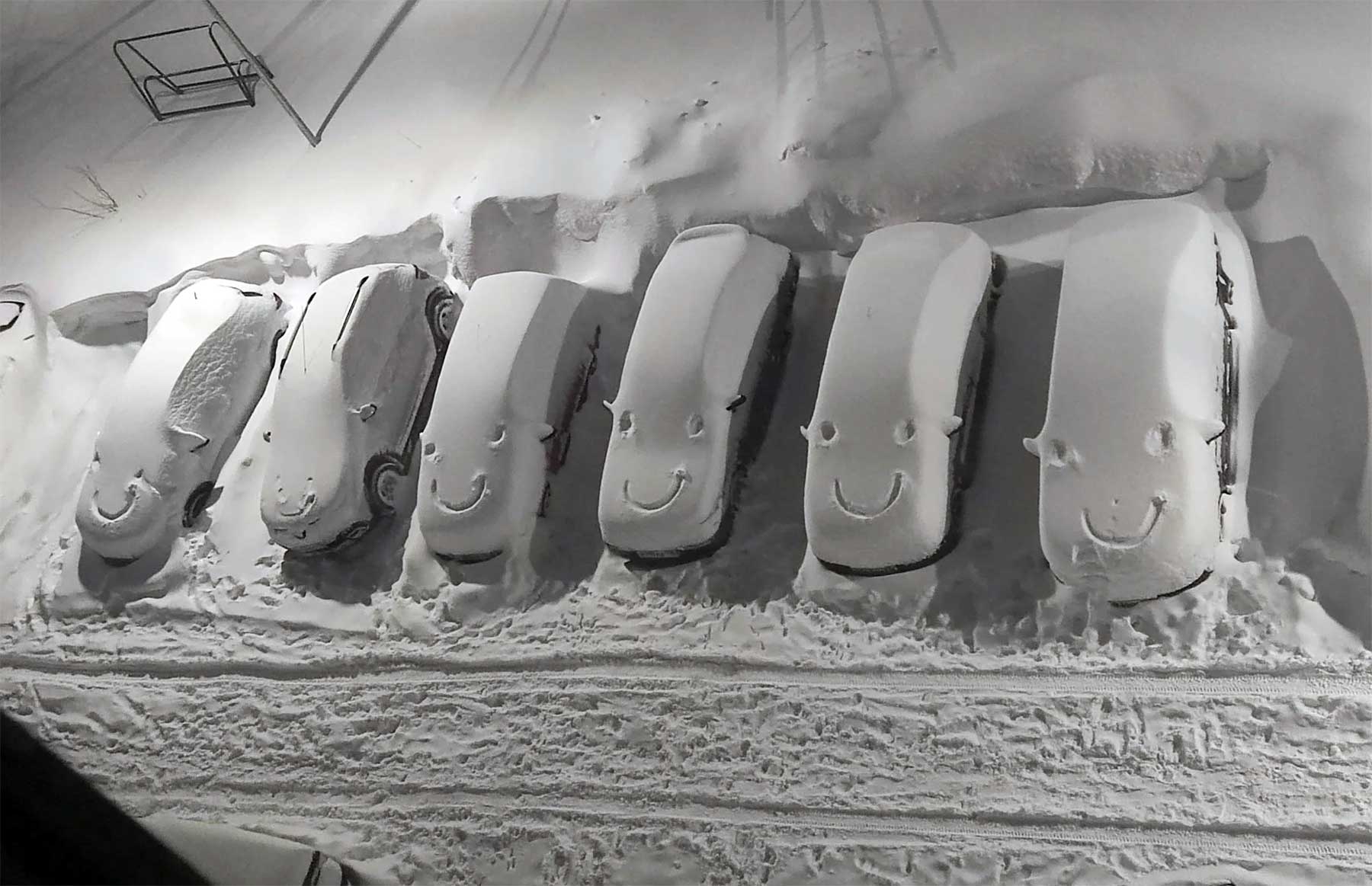 Bilderparade DCCXCIV