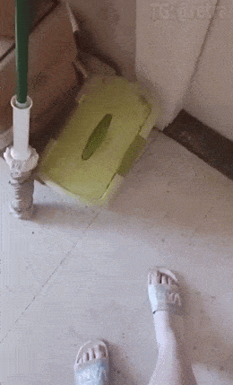 GIFparade LXIX BP69_14 