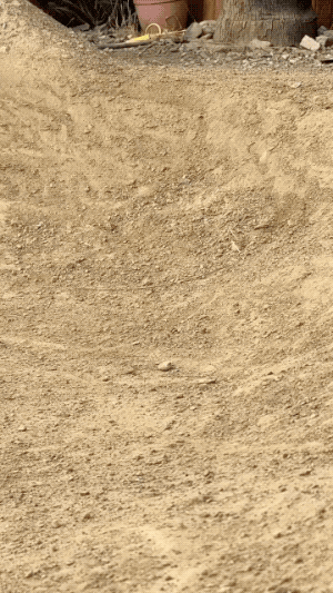 GIFparade LXIX BP69_35 