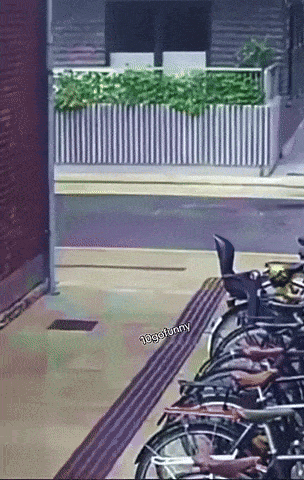 GIFparade LXIX BP69_40 