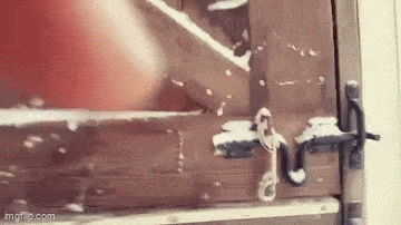 GIFparade LXV GP65_15 