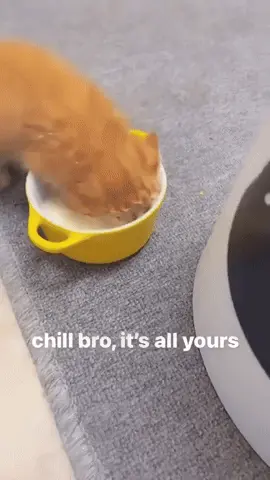 GIFparade LXV GP65_28 