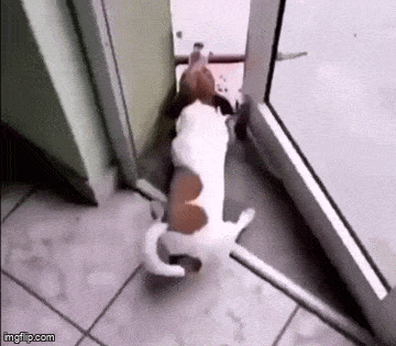 GIFparade LXVI GP66_20 