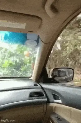 GIFparade LXVI GP66_24 