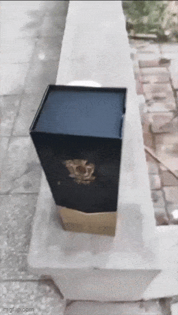 GIFparade LXVI GP66_27 