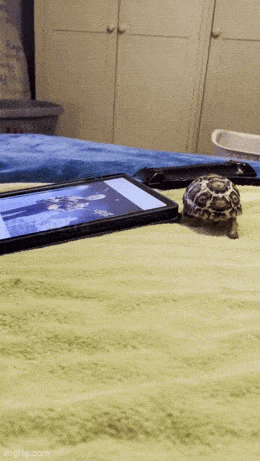 GIFparade LXVI GP66_29 