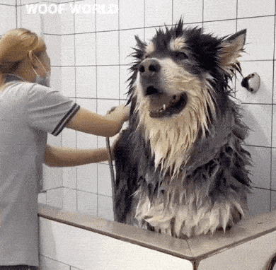 GIFparade LXVIII GP68_15 