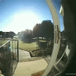 GIFparade LXVIII GP68_17 