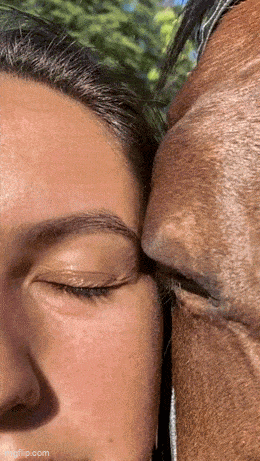 GIFparade LXVIII GP68_19 