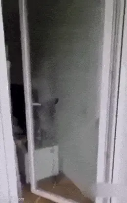 GIFparade LXVIII GP68_21 