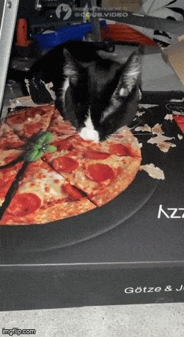 GIFparade LXVIII GP68_26 