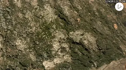 GIFparade LXVIII GP68_31 