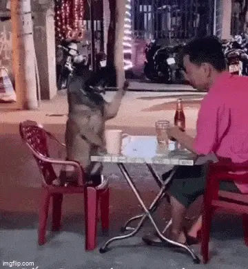 GIFparade LXVIII GP68_32 