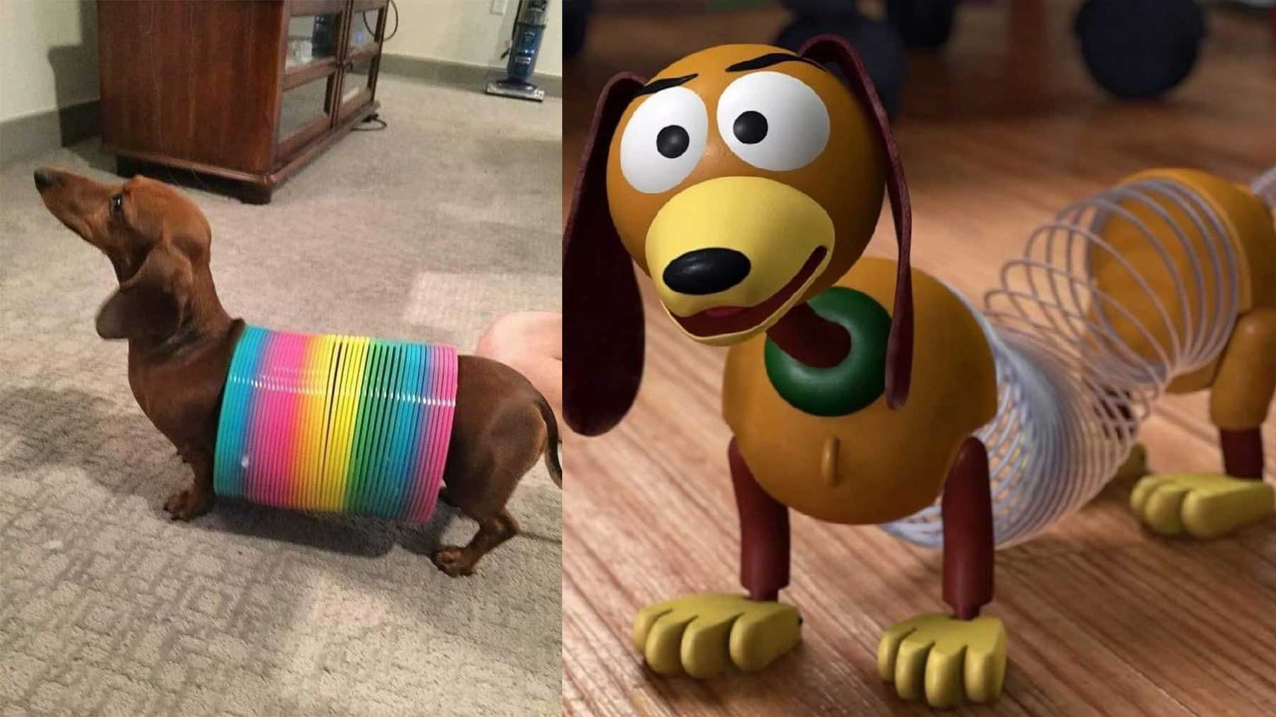 Bilderparade DCCXCVI