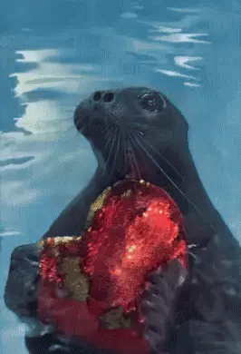 GIFparade LXXI BP71_24 