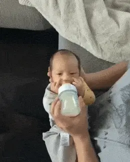 GIFparade LXXI BP71_25 