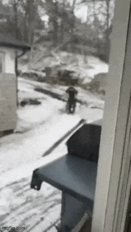 GIFparade LXXI BP71_29 