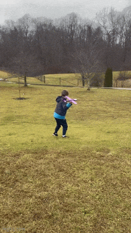 GIFparade LXXI BP71_33 