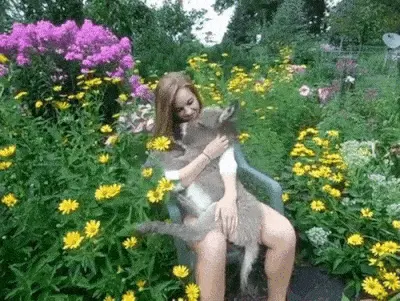 GIFparade LXXI BP71_34 