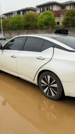 GIFparade LXXI BP71_39 