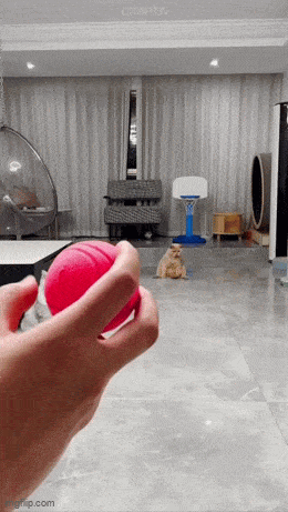 GIFparade LXXI BP71_41 