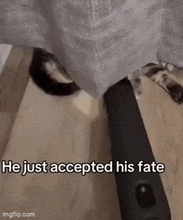 GIFparade LXXI BP71_44 