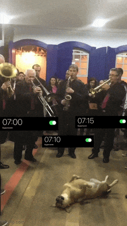 GIFparade LXXI BP71_45 