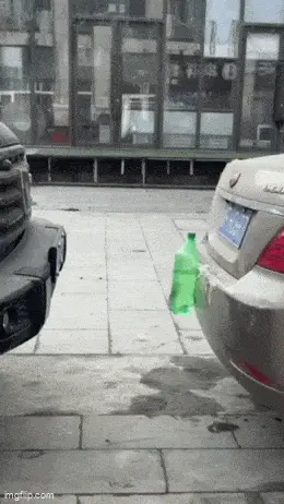 GIFparade LXX GP70_16 