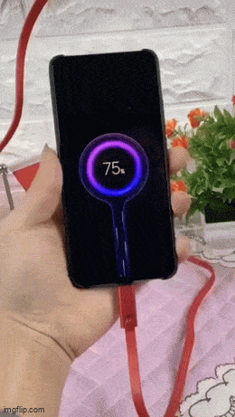 GIFparade LXX GP70_40 