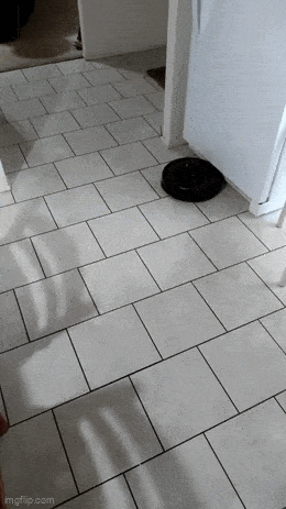 GIFparade LXXIII GP73_18 