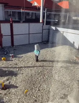 GIFparade LXXIII GP73_22 