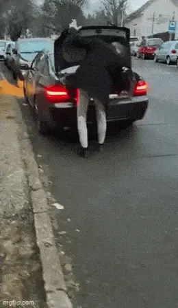 GIFparade LXXIII GP73_24 