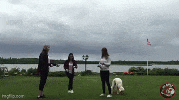 GIFparade LXXIII GP73_26 