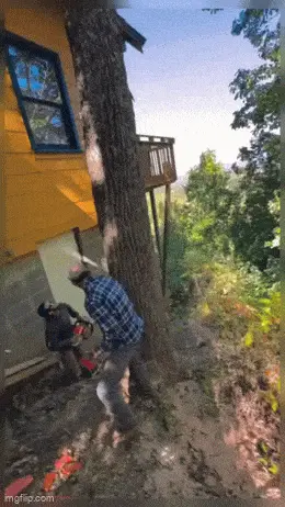 GIFparade LXXIII GP73_27 