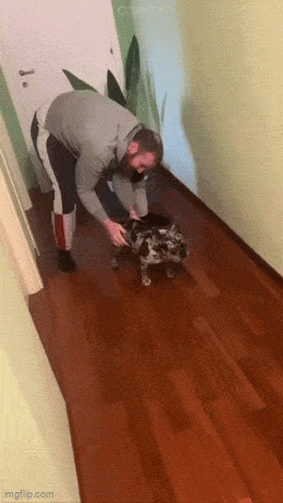 GIFparade LXXIII GP73_28 