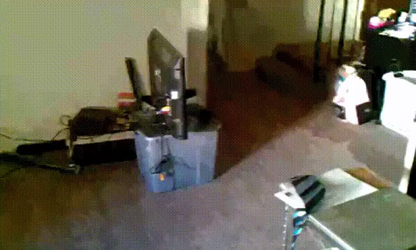 GIFparade LXXIII GP73_29 