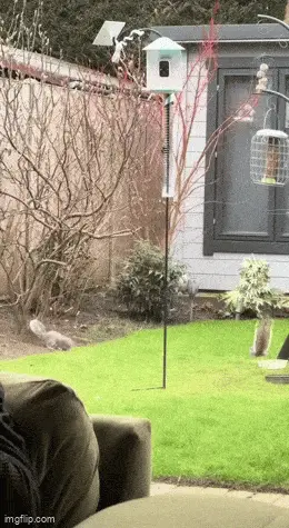 GIFparade LXXIII GP73_32 