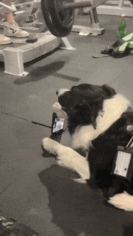 GIFparade LXXIII GP73_33 