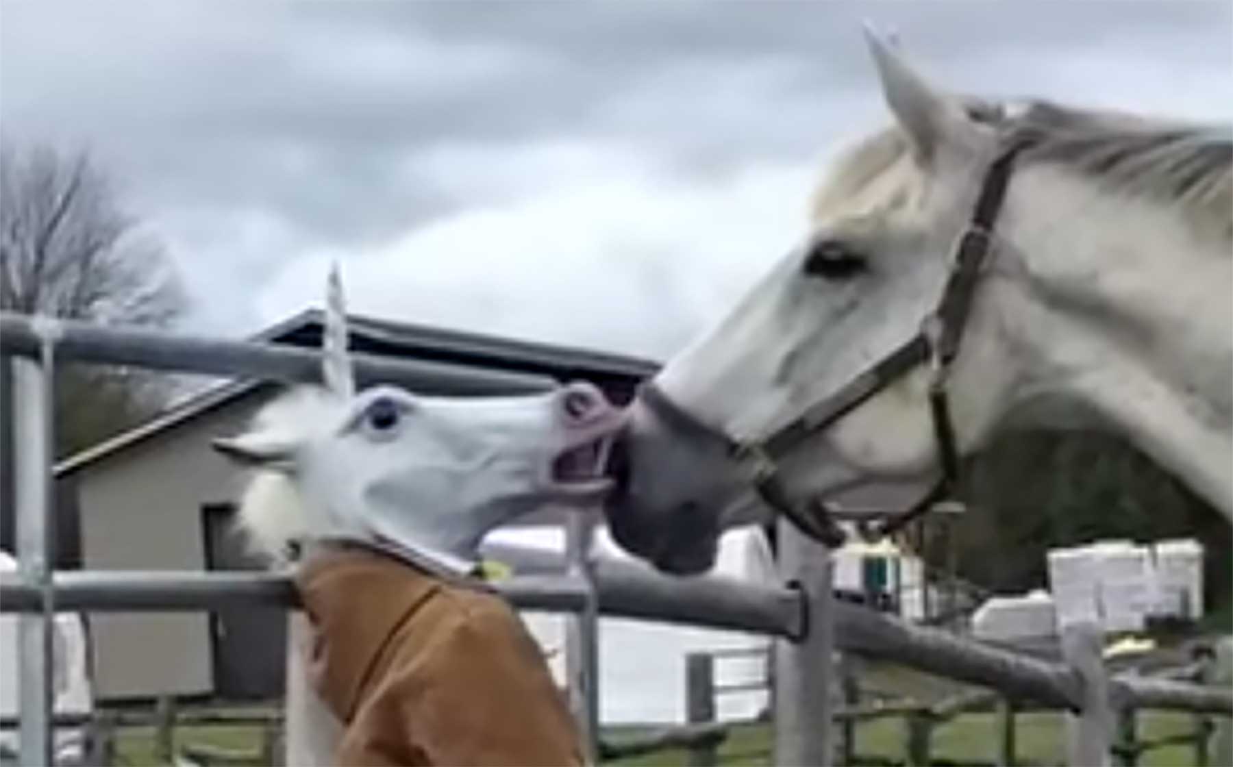 Montagsgefühle Nr. 420 montagsgefuehle-20240212 