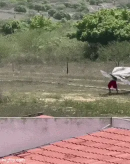 GIFparade LXXIV GP74_26 