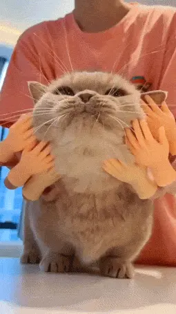 GIFparade LXXV GP75_06 