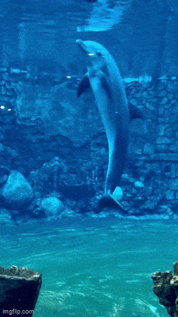 GIFparade LXXV GP75_10 