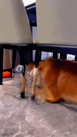 GIFparade LXXV GP75_31 