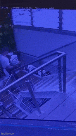 GIFparade LXXV GP75_36 