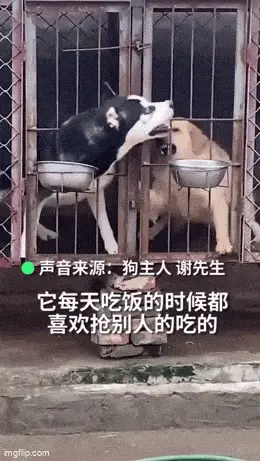 GIFparade LXXV GP75_37 