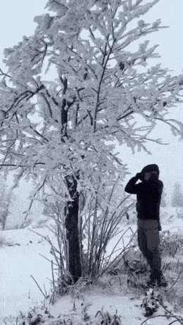 GIFparade LXXV GP75_38 