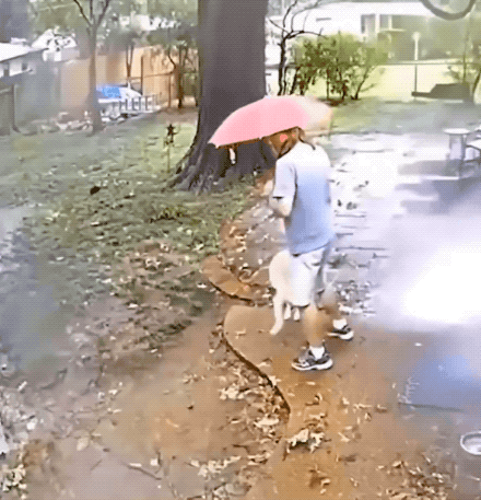 GIFparade LXXV GP75_41 