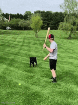 GIFparade LXXVI GP76_18 