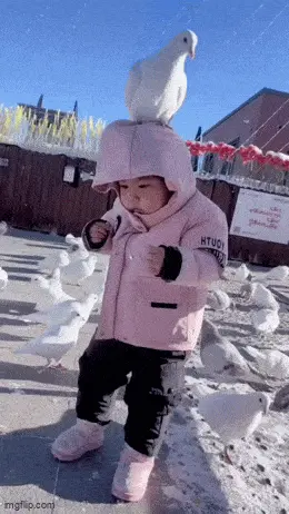 GIFparade LXXVI GP76_35 