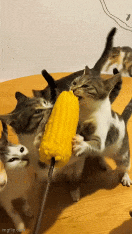 GIFparade LXXVI GP76_39 